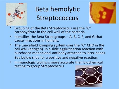 beta strep